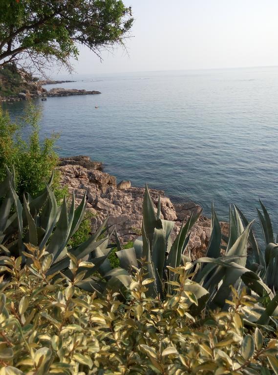 Apartman Marinkovic Добра Вода Екстер'єр фото